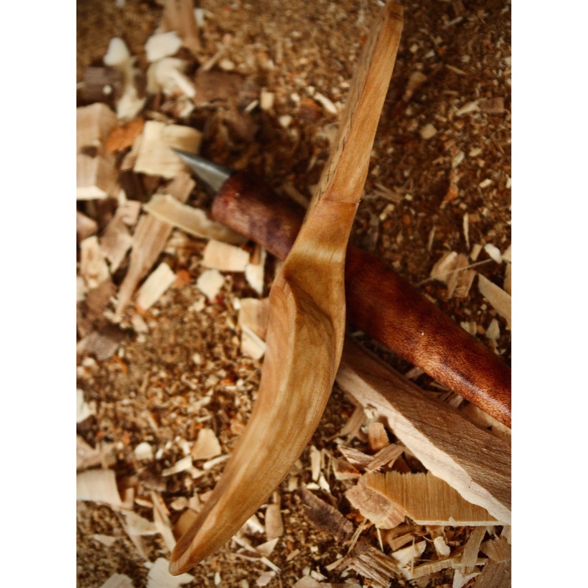 白樺のスプーン | Ryuji Woodworks