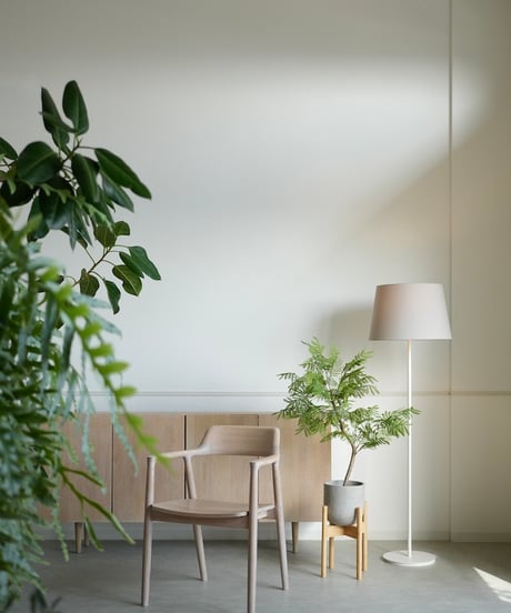 エバーフレッシュ　85