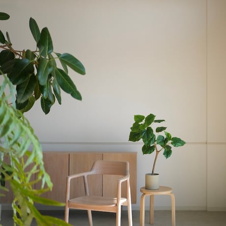 ウンベラータ | STORES