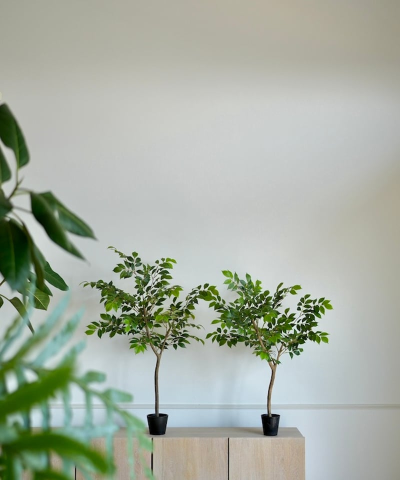 ナナカマド 88 | artificial olive awajishima