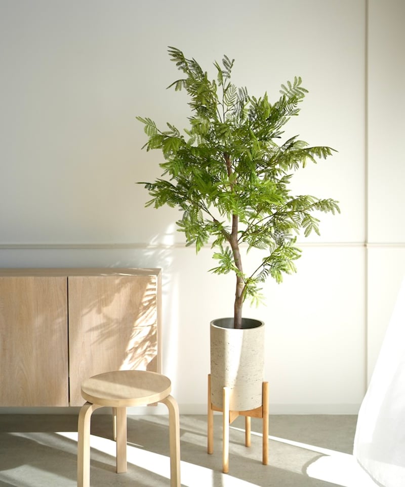 エバーフレッシュ（高さ140㎝） エバーフレッシュ 140 | artificial olive awajishima