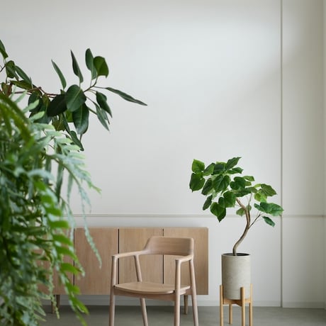 ウンベラータ | STORES