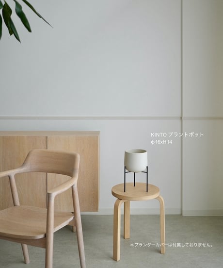 オリーヴ　62
