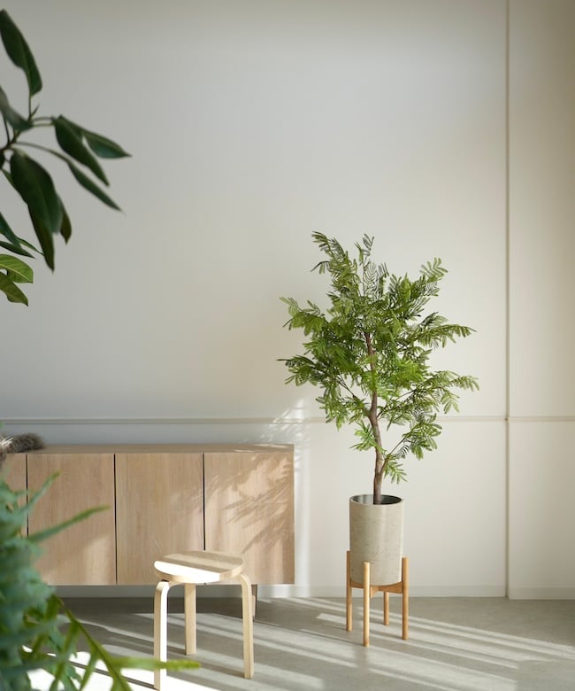 エバーフレッシュ 140 | artificial olive awajishima