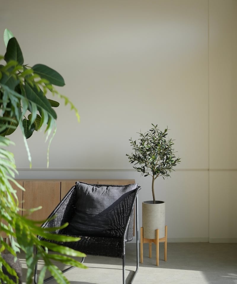 オリーヴ 98 | artificial olive awajishima