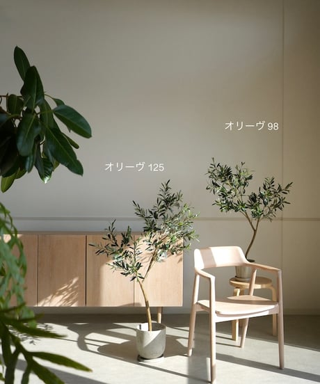 オリーヴ　125