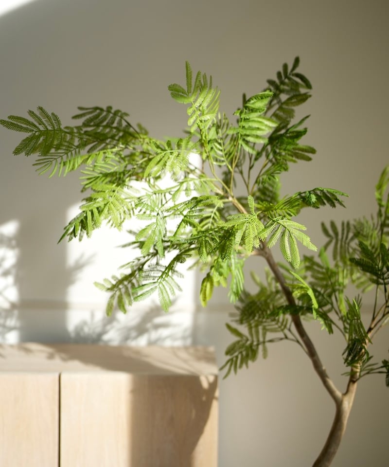 エバーフレッシュ 112 | artificial olive awajishima