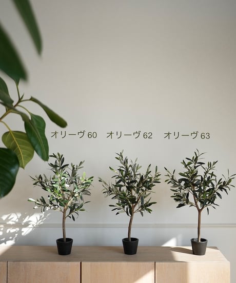 オリーヴ　63