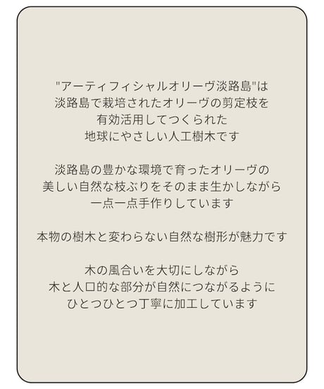 ウンベラータ　125