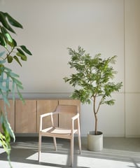 エバーフレッシュ 140 | artificial olive awajishima