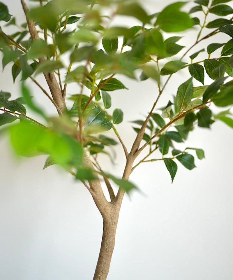 ナナカマド 88 | artificial olive awajishima
