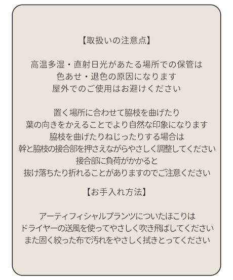 イレグラリス　203