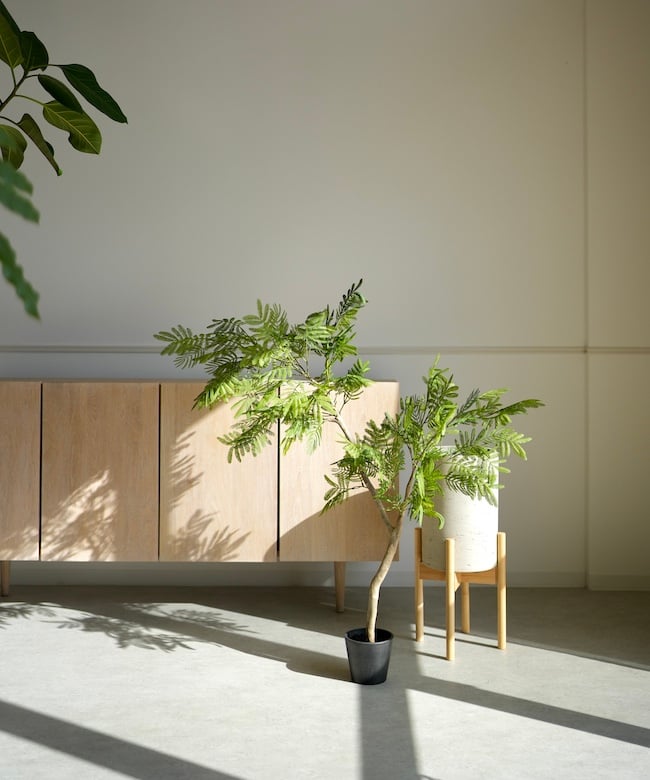 エバーフレッシュ 112 | artificial olive awajishima