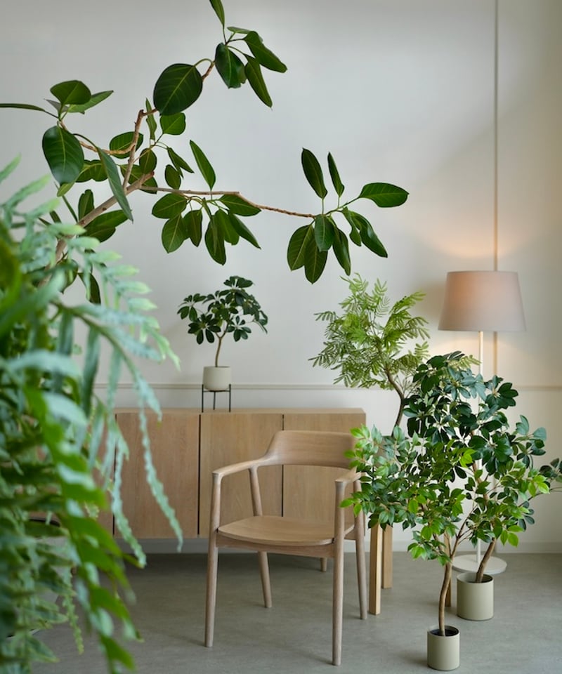 ナナカマド 88 | artificial olive awajishima