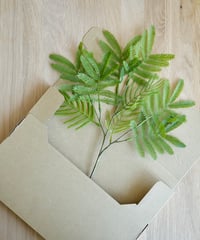 【サンプル】エバーフレッシュ