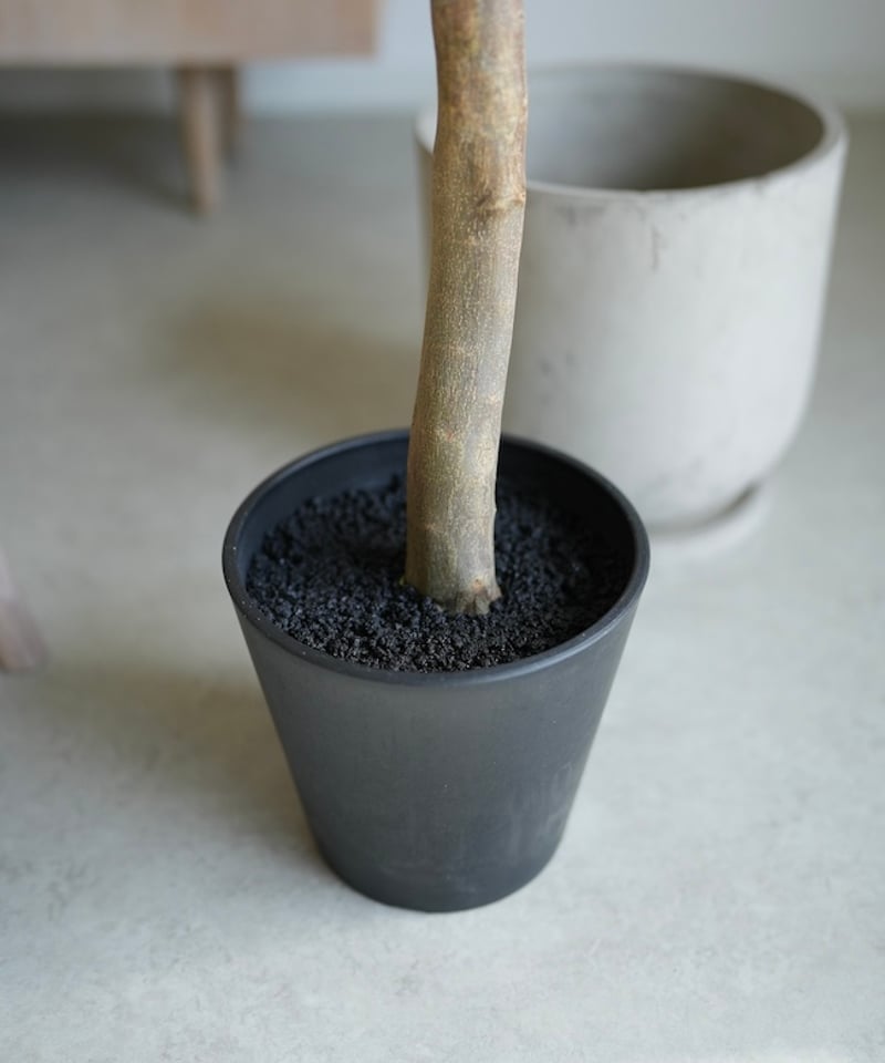 エバーフレッシュ 218 | artificial olive awajishima