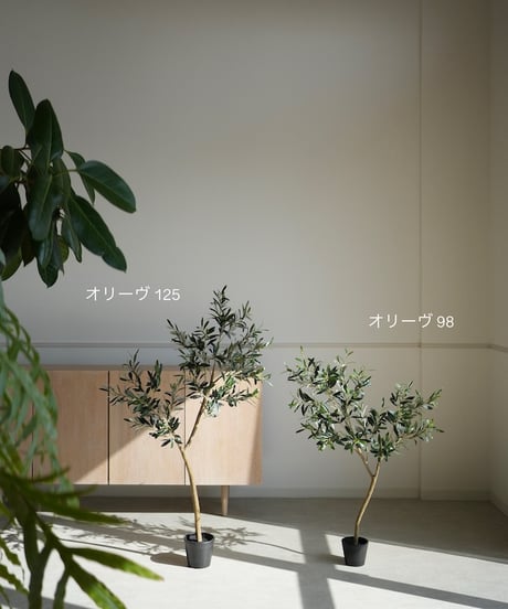 オリーヴ　98