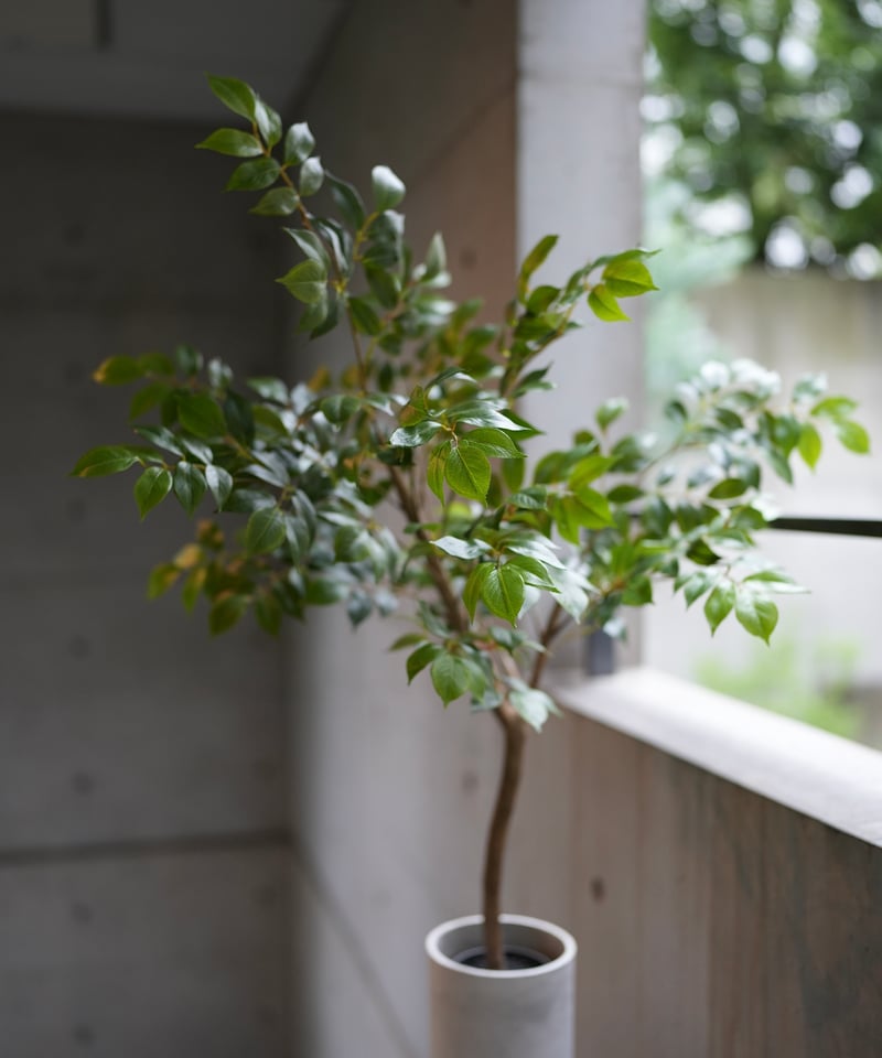 ナナカマド 88 | artificial olive awajishima