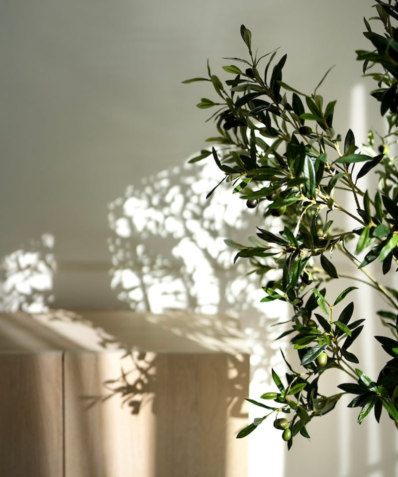 オリーヴ 158 | artificial olive awajishima
