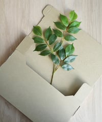 【サンプル】ナナカマド