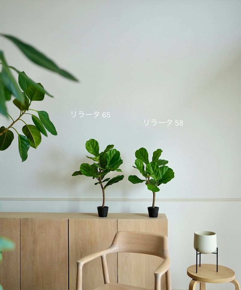 リラータ 65 | artificial olive awajishima