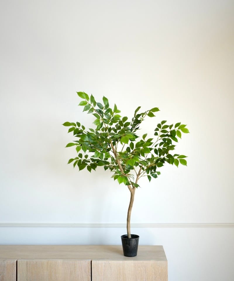 ナナカマド 88 | artificial olive awajishima