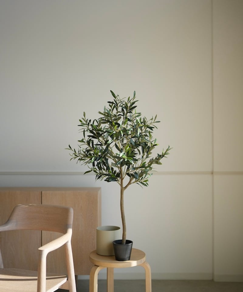 オリーヴ 98 | artificial olive awajishima