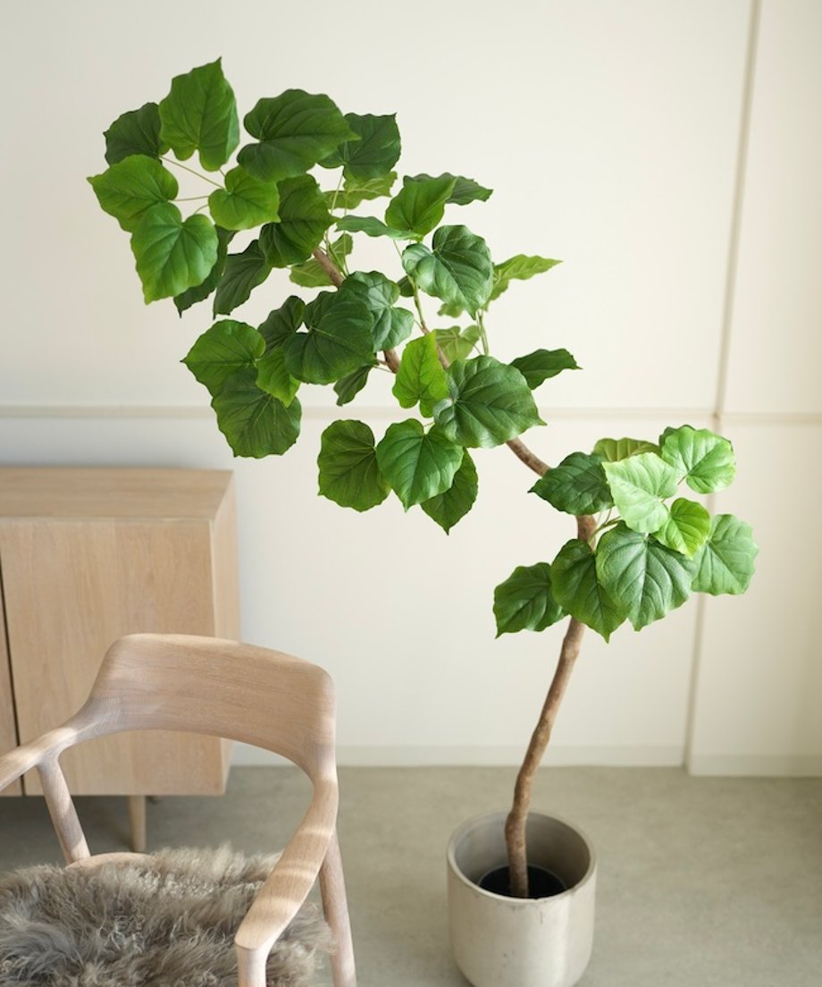 674d3a49a537ca0649edd9a3