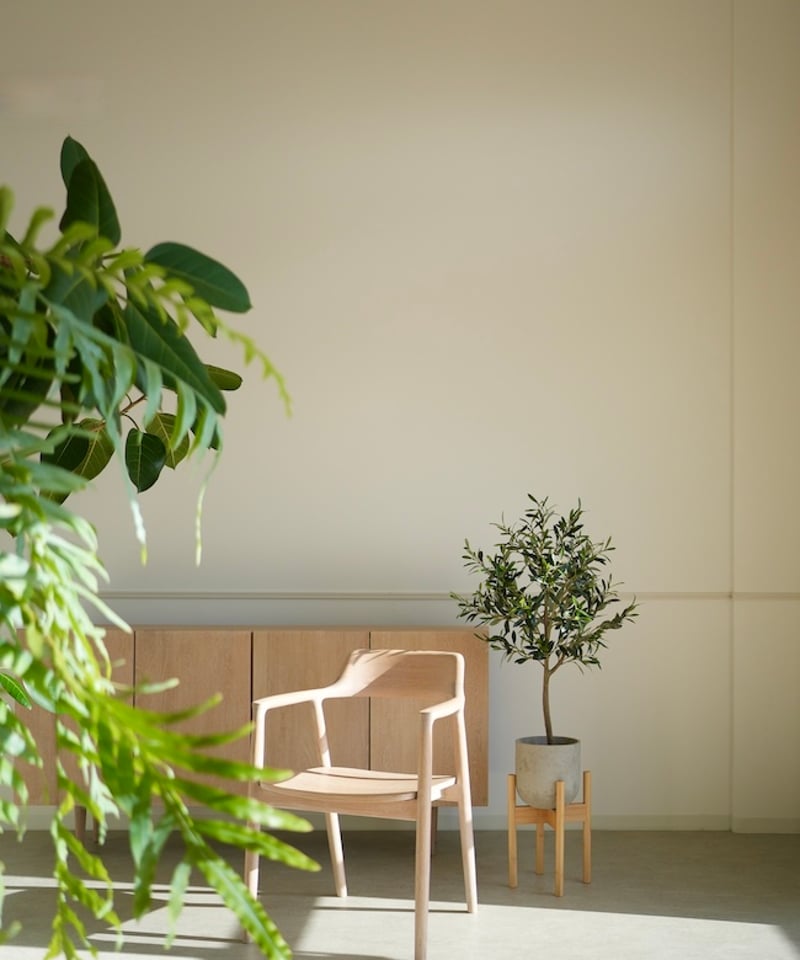 BMサ18◯●oliveページ●◯ オリーヴ 98 | artificial olive awajishima