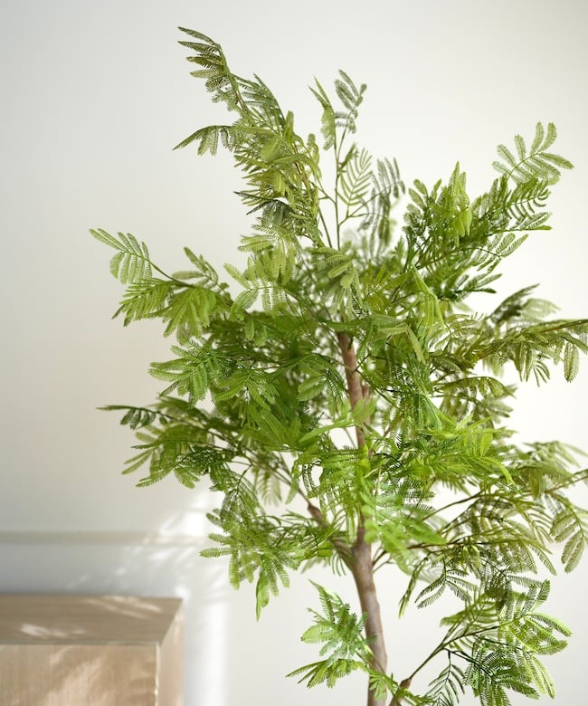 エバーフレッシュ 140cm８号 S-shaped everfresh-184_1.jpg?1733192382