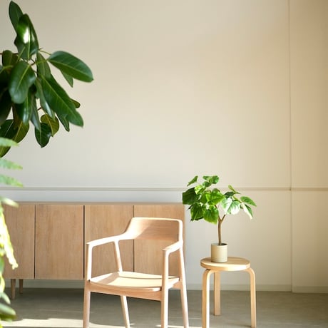 ウンベラータ | STORES