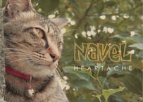 NAVEL 3rd ALBUM "HEARTACHE"
