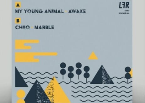 my young animal / CHIIO split 7inch