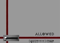 ALLOWED：QUIT!!!!