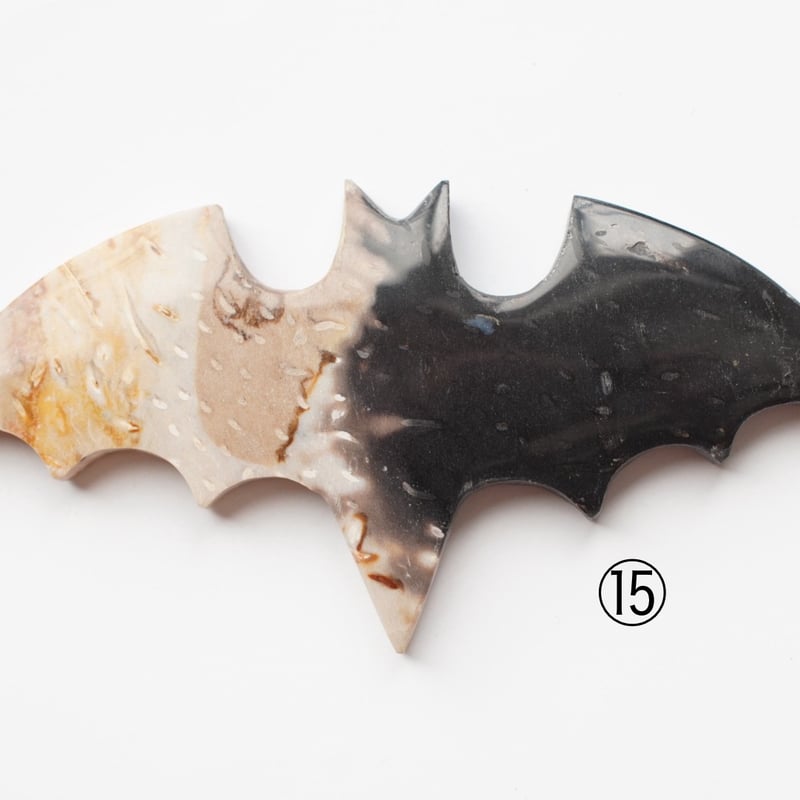 パームルートアゲート（ヤシの木の化石） ペーパーウエイト（置物