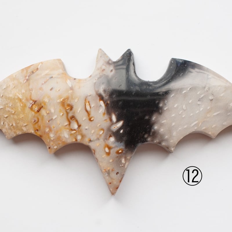 パームルートアゲート（ヤシの木の化石） ペーパーウエイト（置物