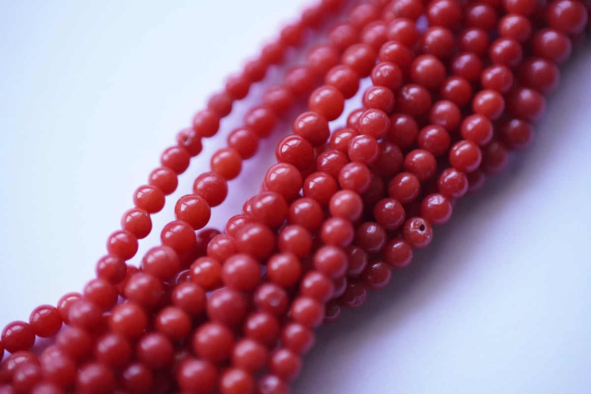 地中海産 天然赤珊瑚（赤さんご,レッドコーラル）原木 N342 地中海産 天然赤珊瑚（赤さんご,レッドコーラル）原木 N342