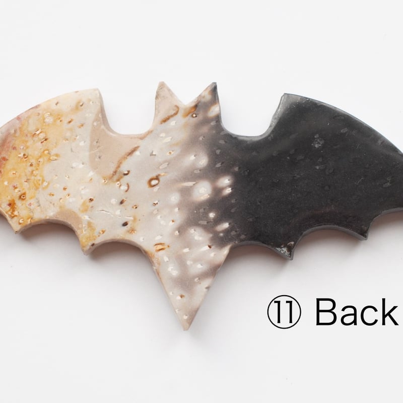 パームルートアゲート（ヤシの木の化石） ペーパーウエイト（置物