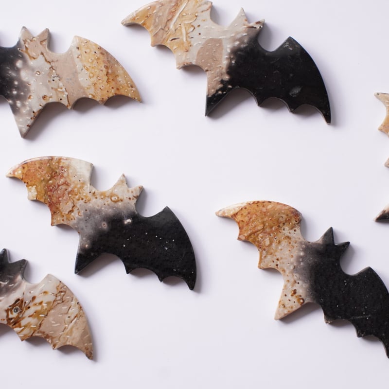 パームルートアゲート（ヤシの木の化石） ペーパーウエイト（置物