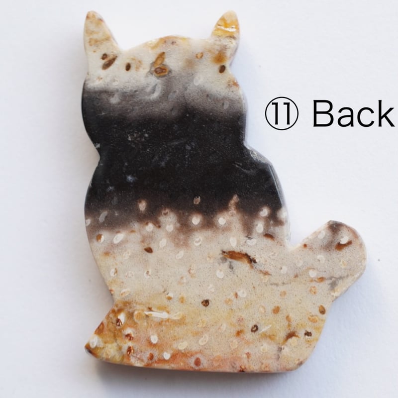 パームルートアゲート（ヤシの木の化石） ペーパーウエイト（置物