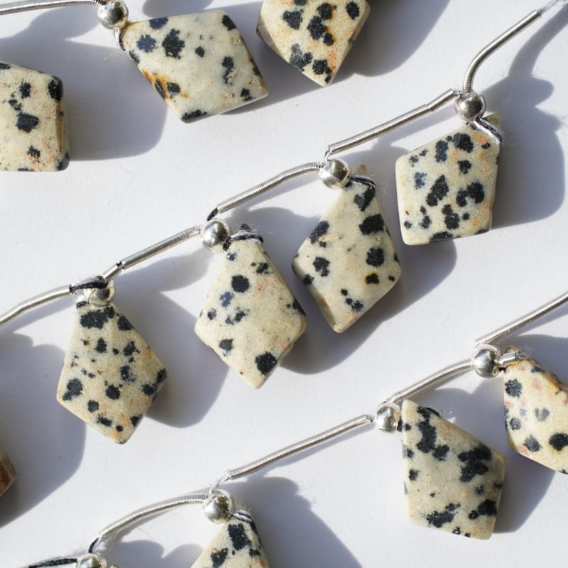 ちかダルメシアンジャスパーとアパタイトの ネックレス ダルメシアンジャスパーネックレス | ファッション通販サイト NUGU