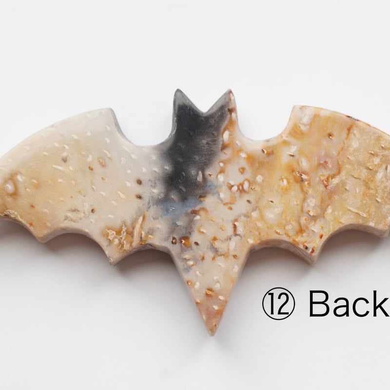 パームルートアゲート（ヤシの木の化石） ペーパーウエイト（置物