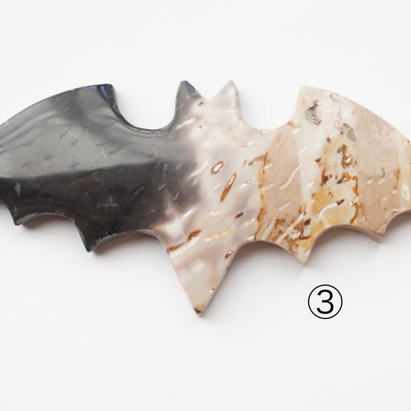 パームルートアゲート（ヤシの木の化石） ペーパーウエイト（置物