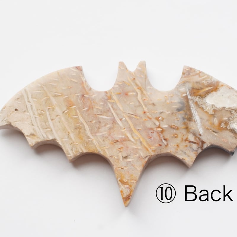 マーキス型のパームルート マーキス型のパームルート