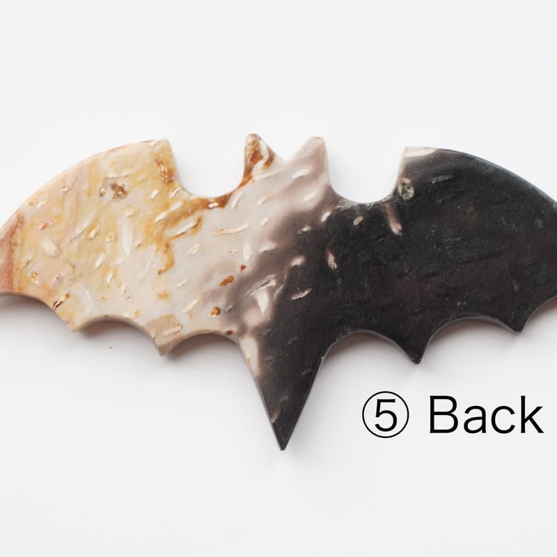 パームルートアゲート（ヤシの木の化石） ペーパーウエイト（置物