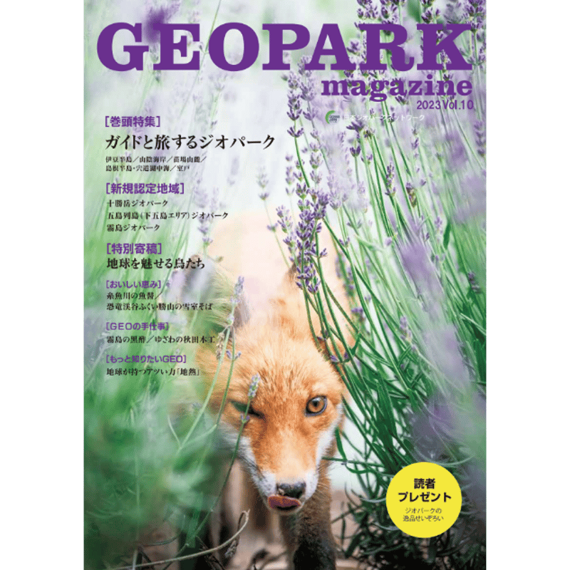 バークリ: 観念論・科学・常識 (〈思想・多島海〉シリーズ 10) 戸田 剛文 人間の知的能力に関する試論 （上）／トマス・リード, 戸田 剛文｜岩波