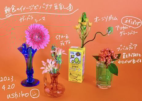 お試し定期便[S]