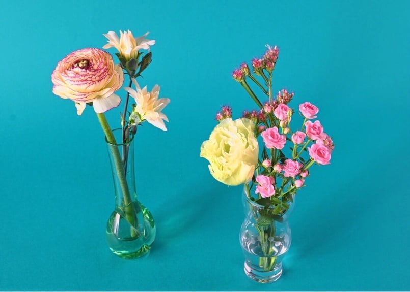 定期便[S] | strength｜強さをうる花屋