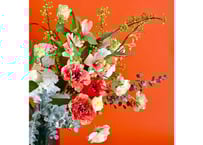 定期便LLサイズ