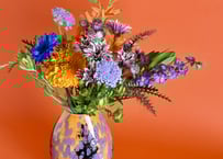 お試し定期便[L]